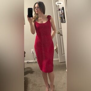 BCBGMaxazria bodycon Dress
